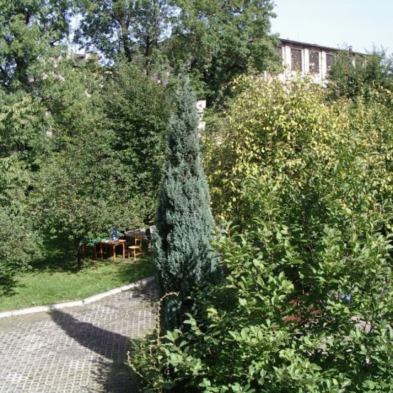 zdjecie:
