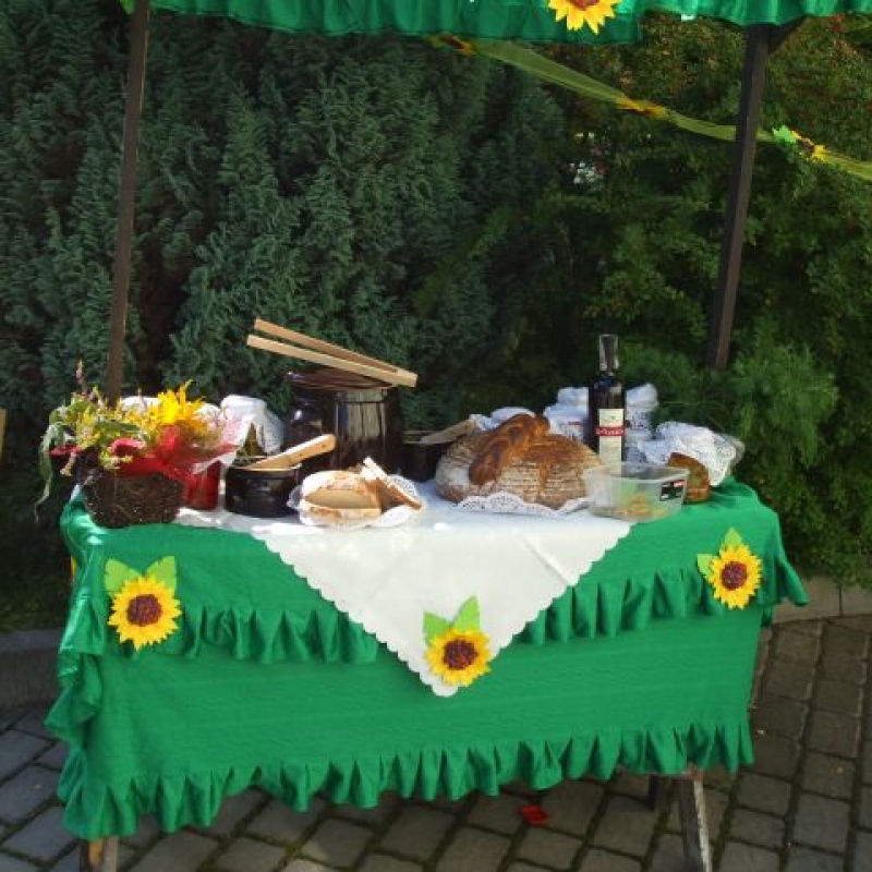 zdjecie: