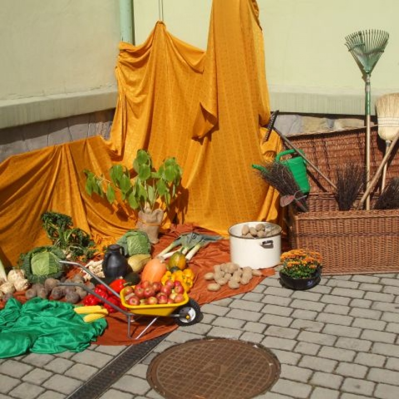 zdjecie: