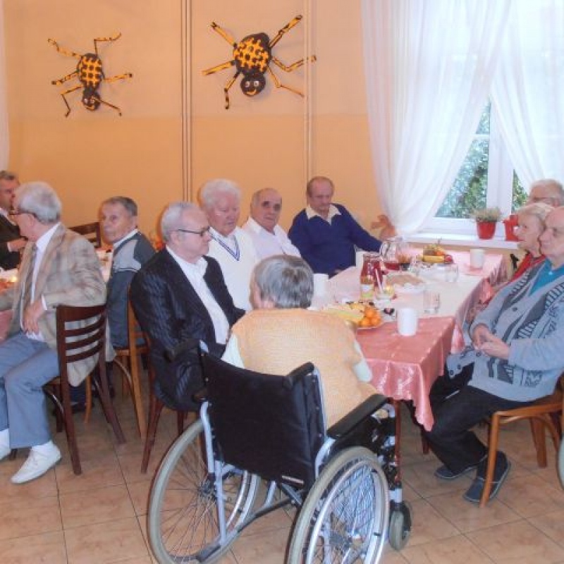 zdjecie: