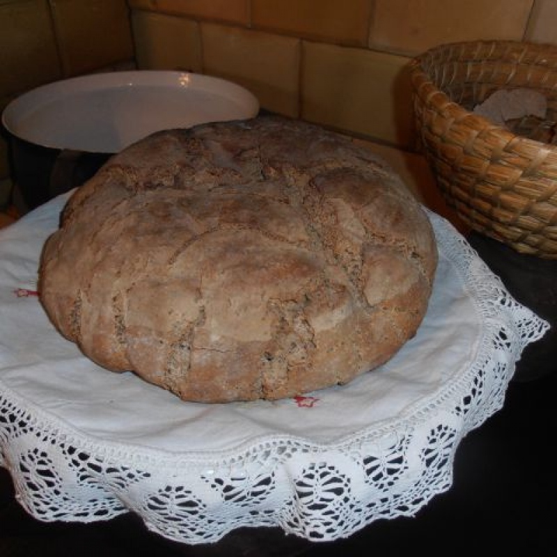 zdjecie: