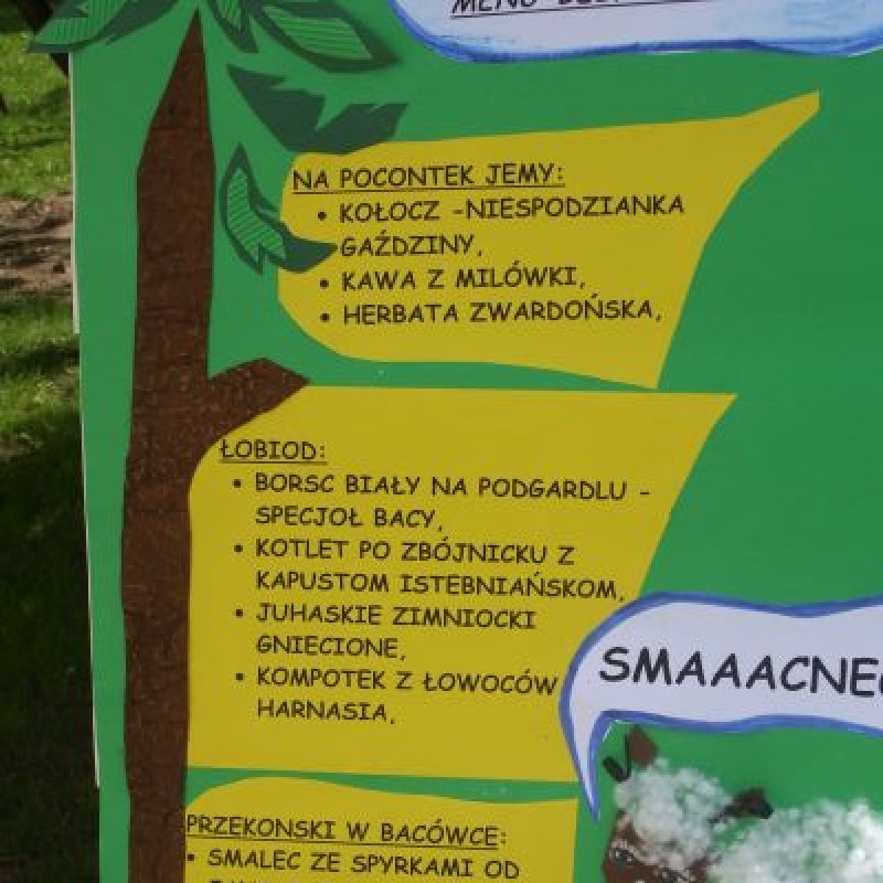 zdjecie: