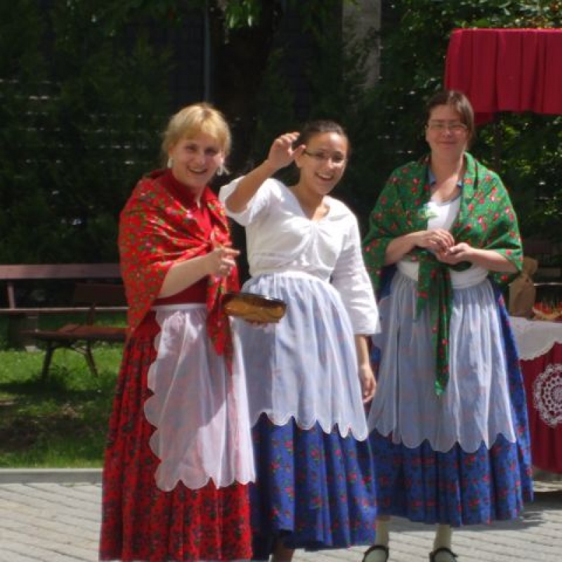zdjecie: