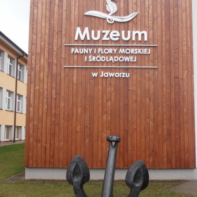 zdjecie: