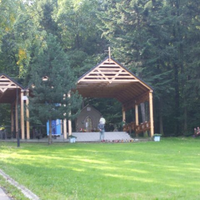 zdjecie: