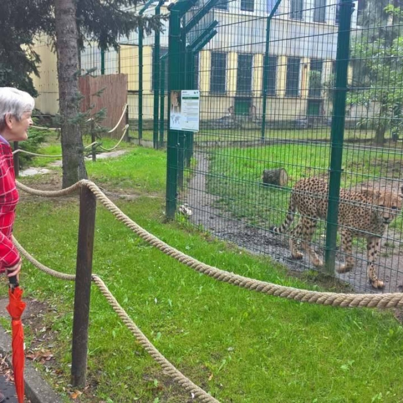zdjecie: