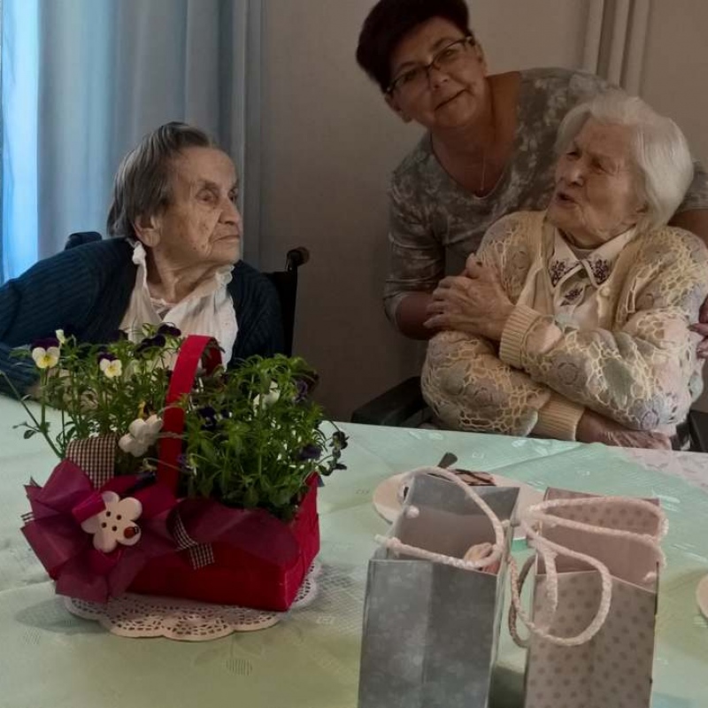 zdjecie: