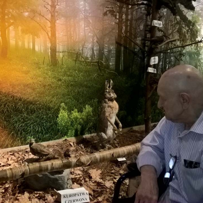 zdjecie: