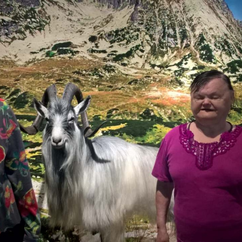 zdjecie: