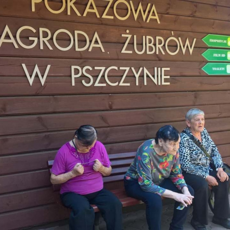 zdjecie: