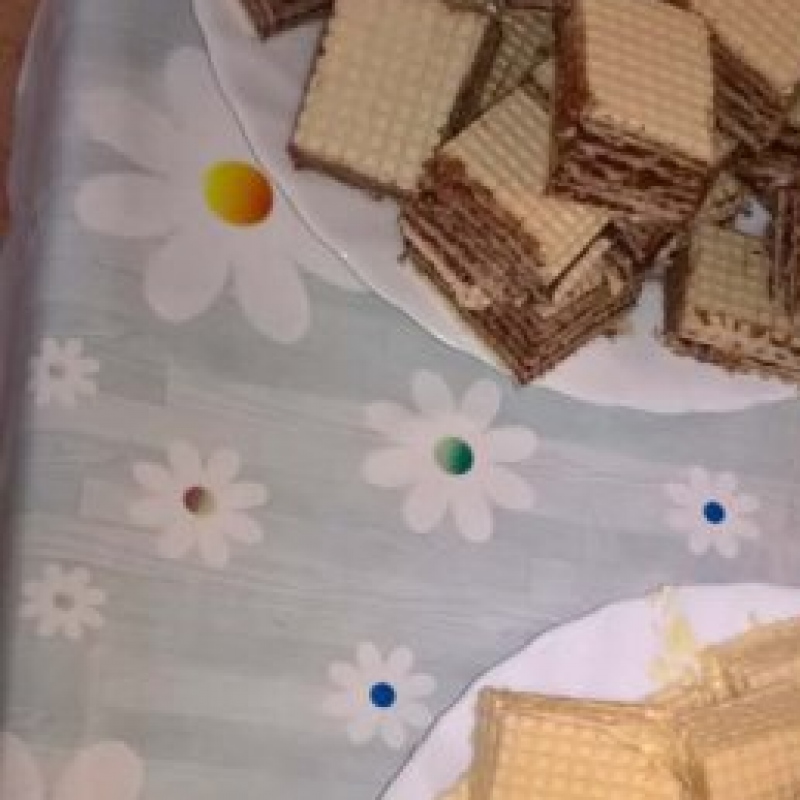 zdjecie: