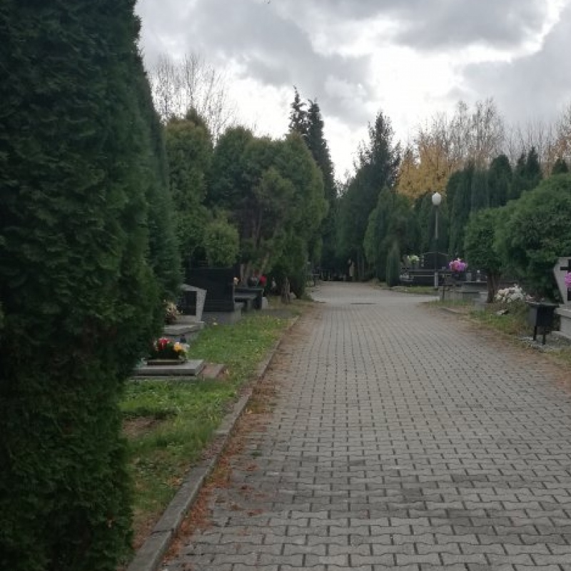 zdjecie: