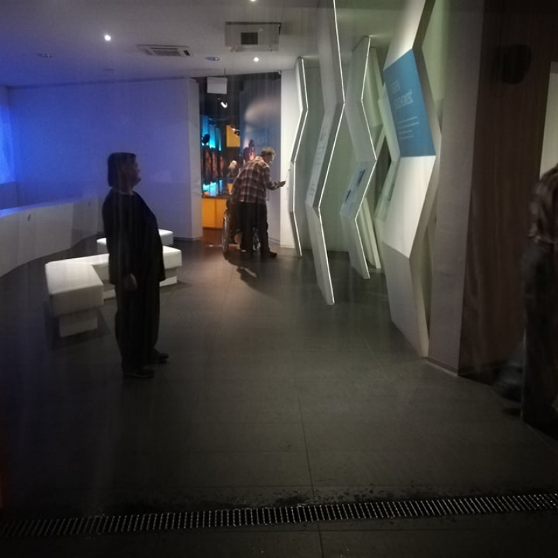 zdjecie: