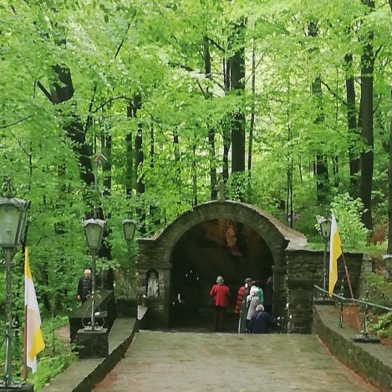 zdjecie: