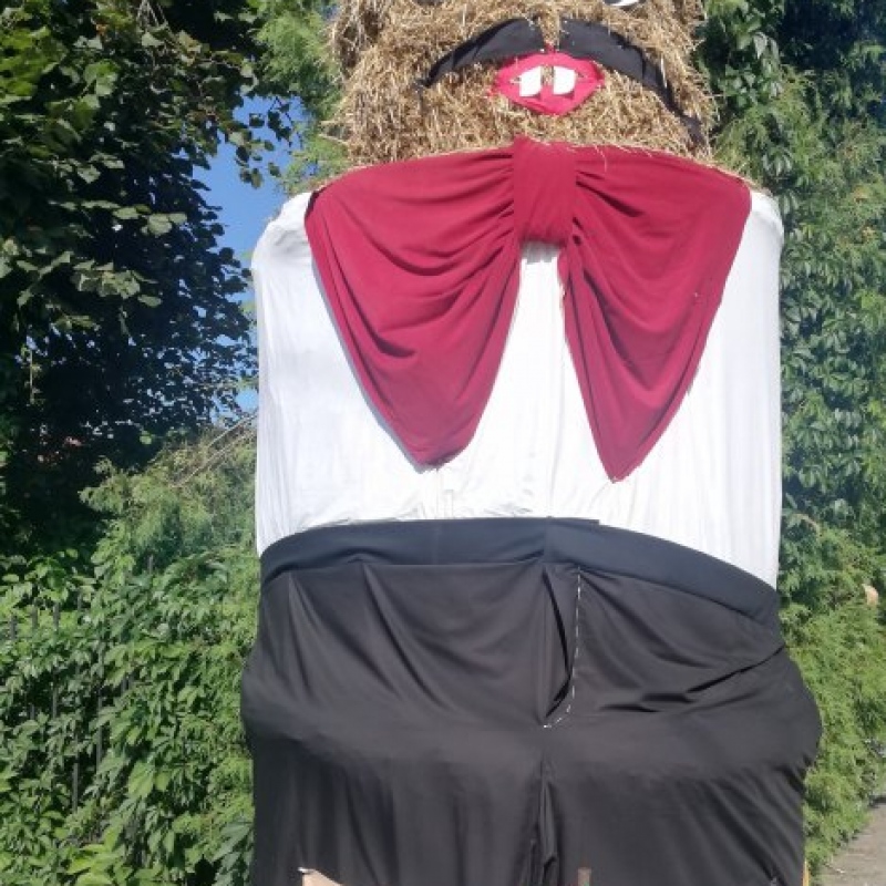 zdjecie: