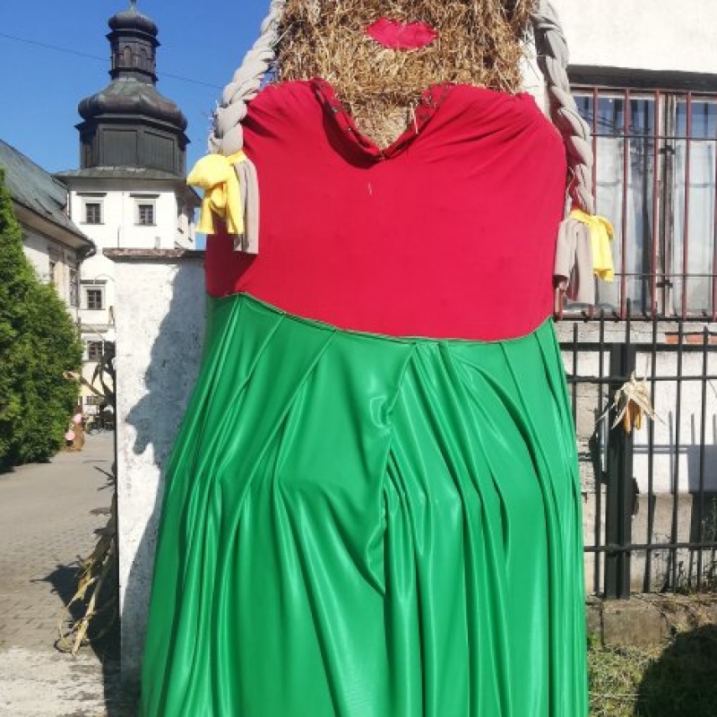zdjecie: