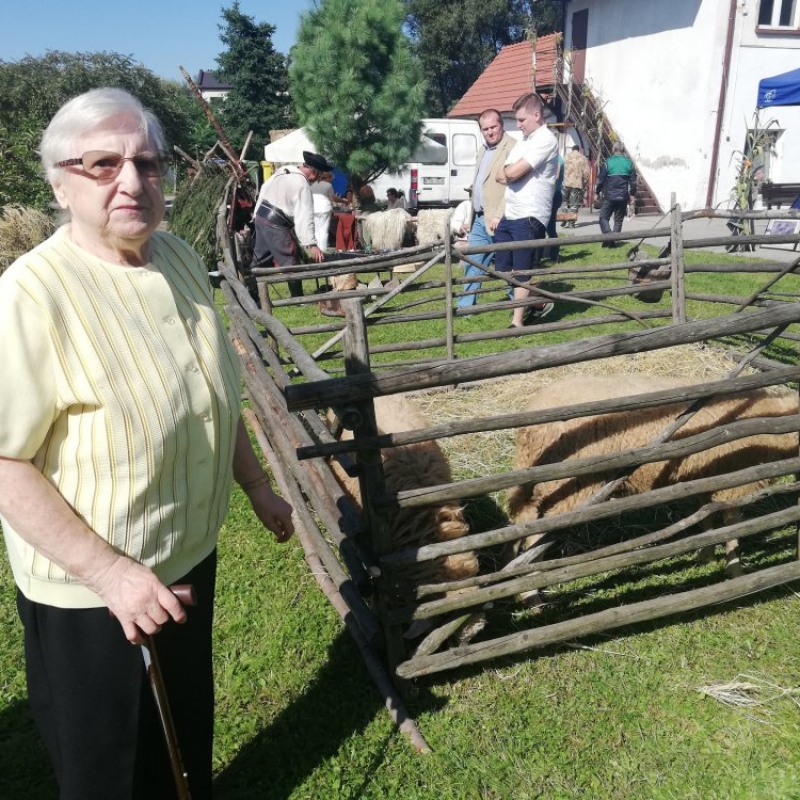 zdjecie: