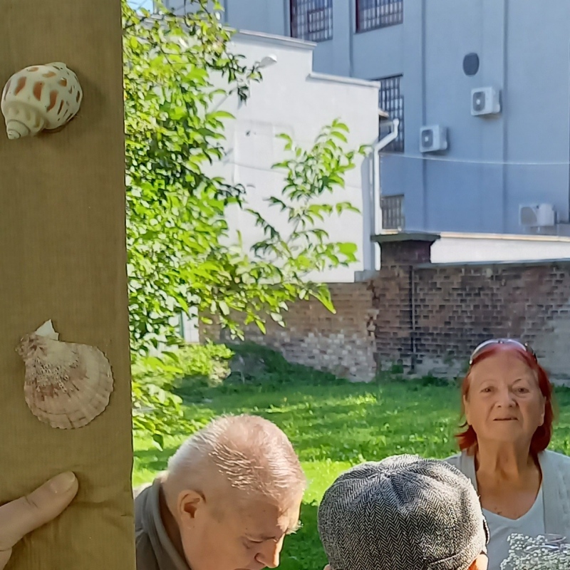 zdjecie: