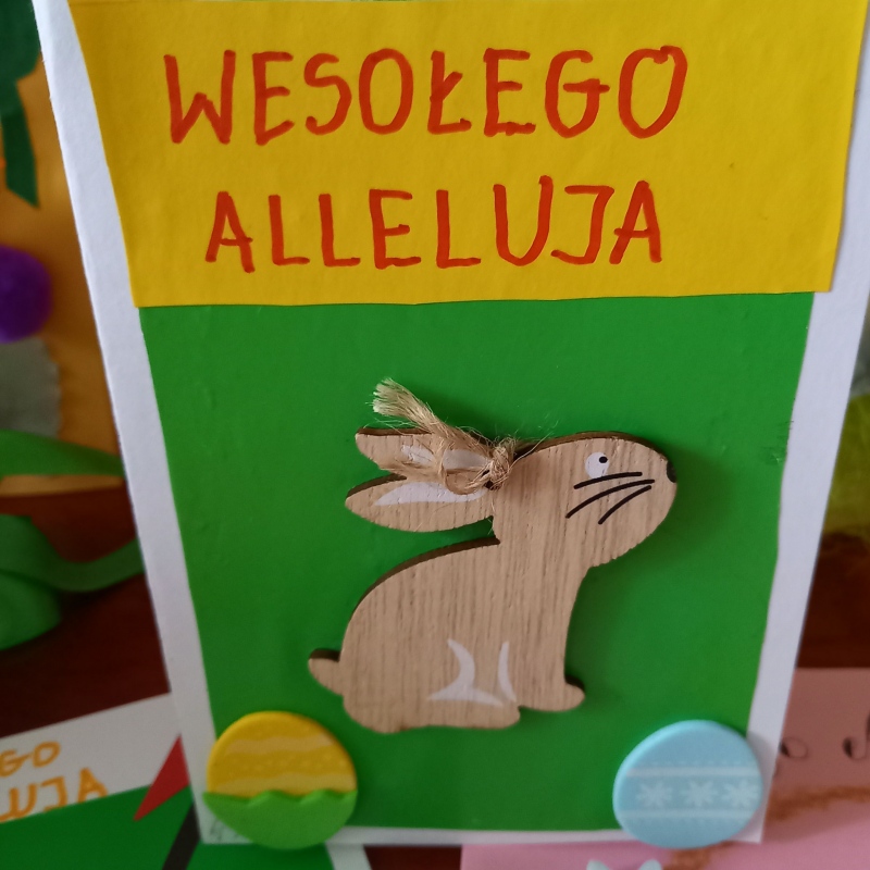 zdjecie: