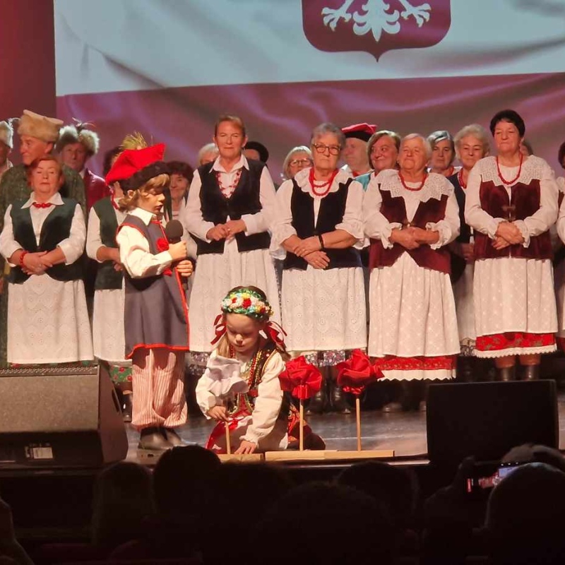 zdjecie: