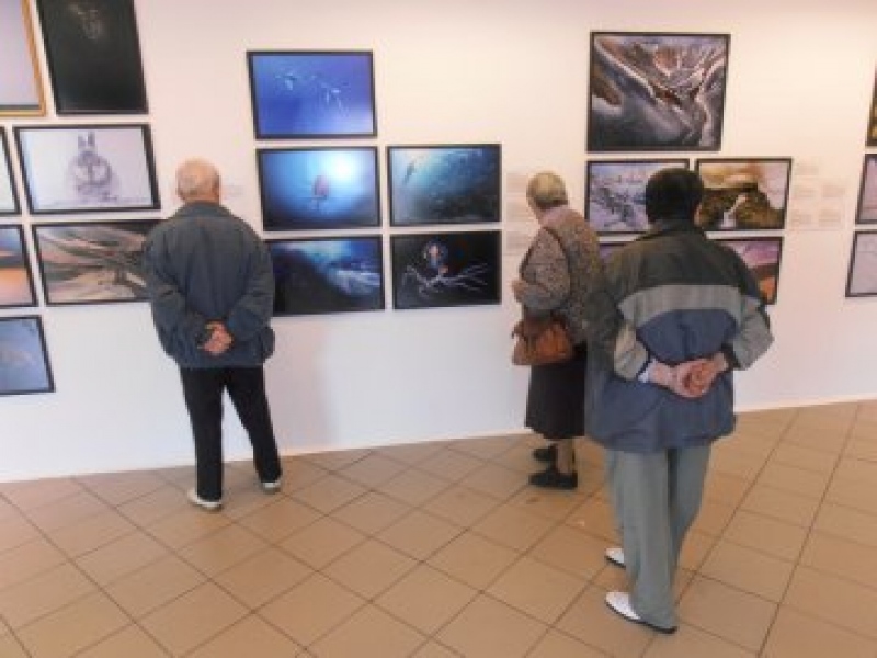 foto: Fotografia Dzikiej Przyrody 2015 - wystawa